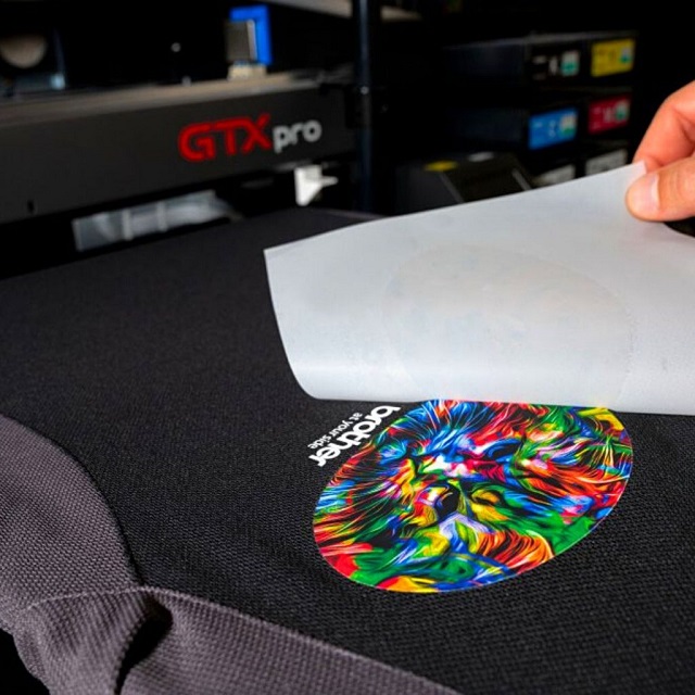 EcoPrint - Direct to Film Printing DTF